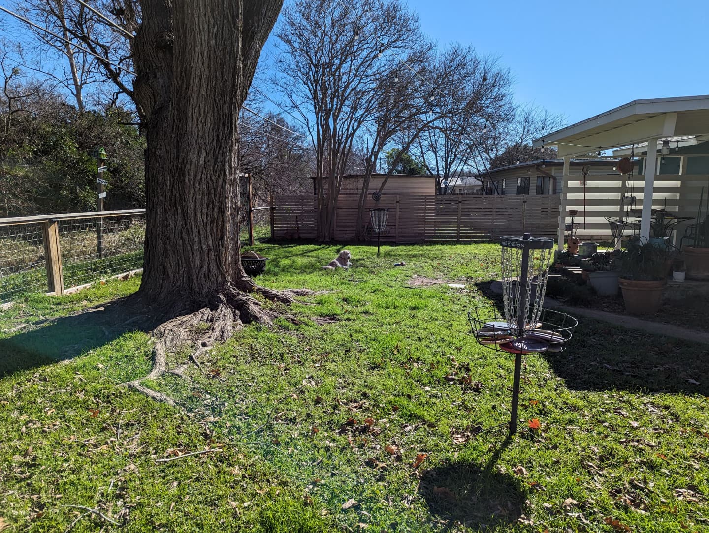 Before — the yard we started with
