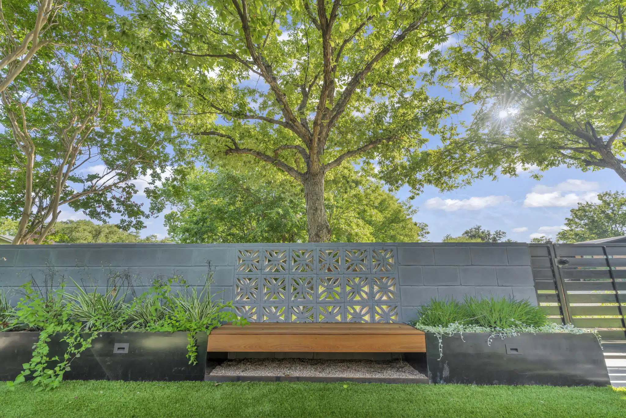 Garden in daylight