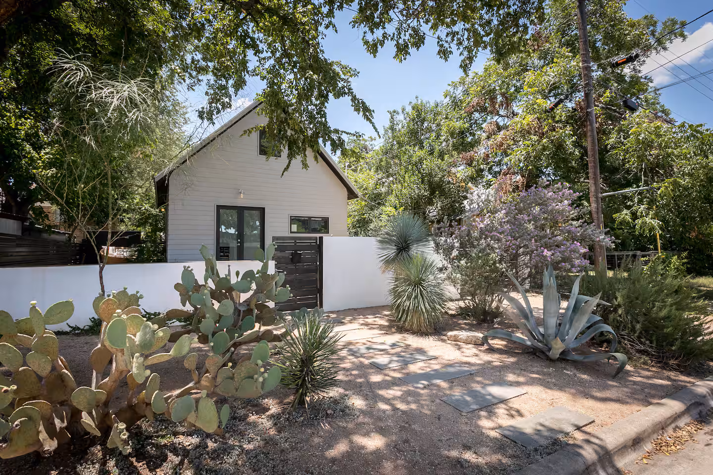 Agave Court — photo 2