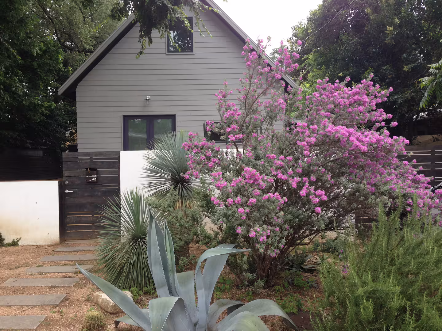 Agave Court — photo 3