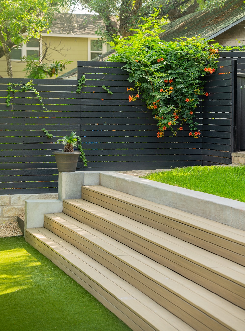 Terraced Front Garden — photo 3