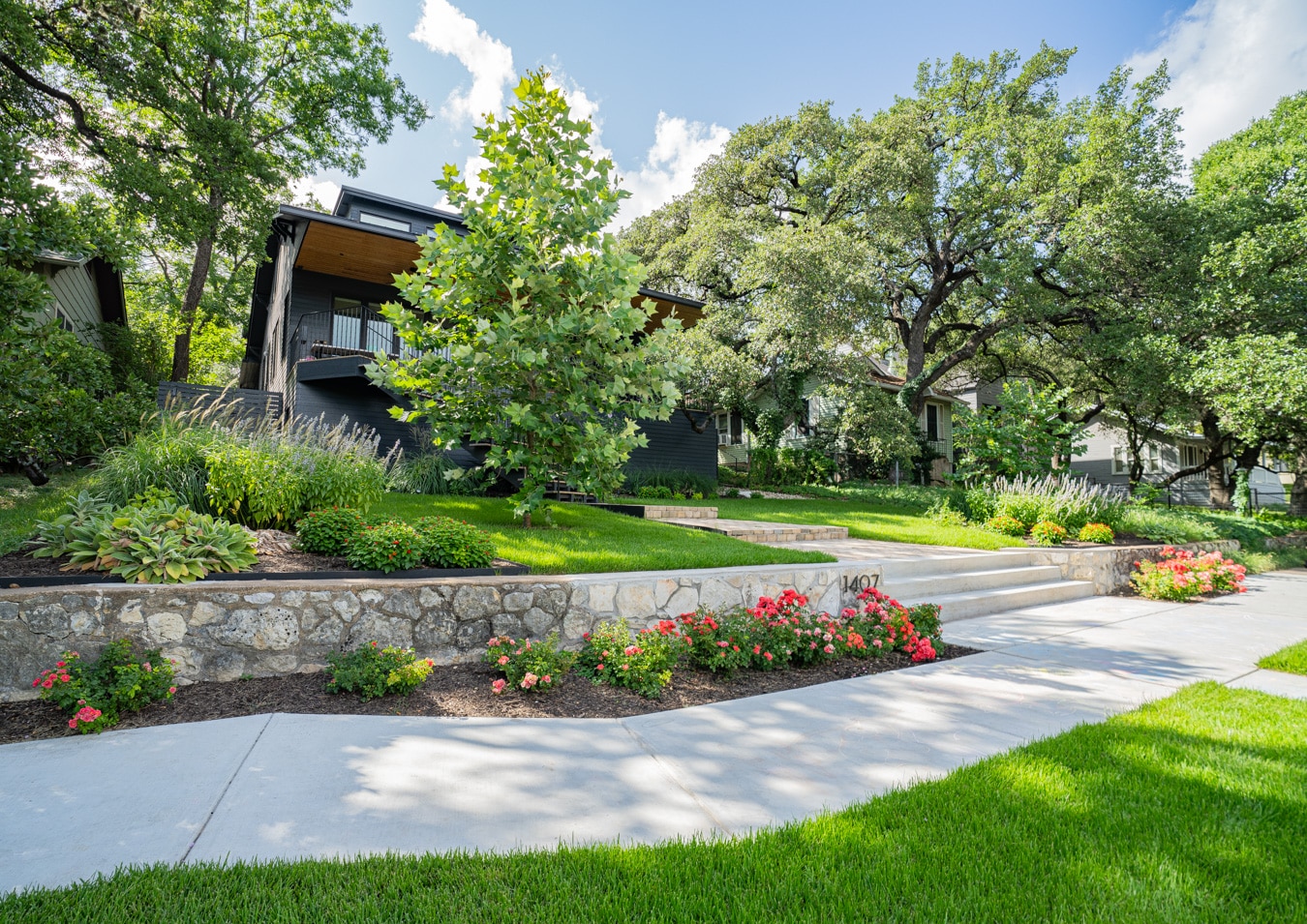 Terraced Front Garden — photo 6